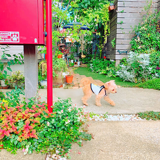 risaさんの実例写真
