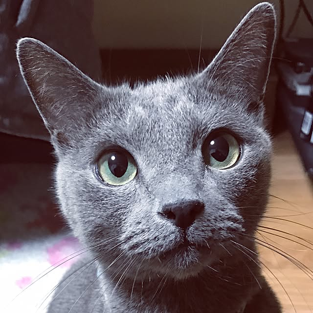 marchさんの実例写真