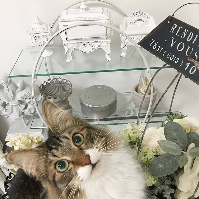 yuchiさんの実例写真