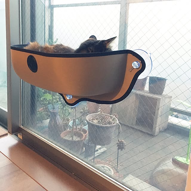 mikomaruさんの実例写真