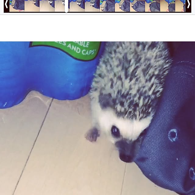 Kurumiさんの実例写真