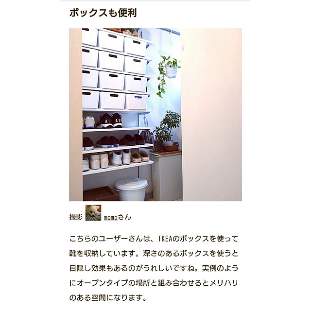 momoさんの実例写真