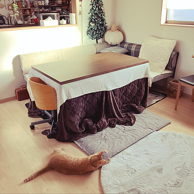 amaさんの実例写真
