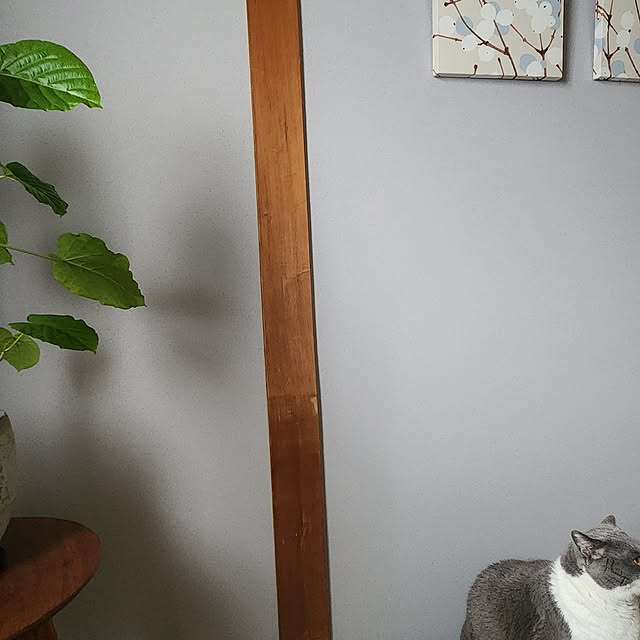 rhuさんの実例写真