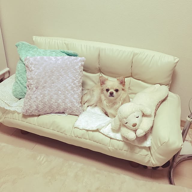 chinaさんの実例写真