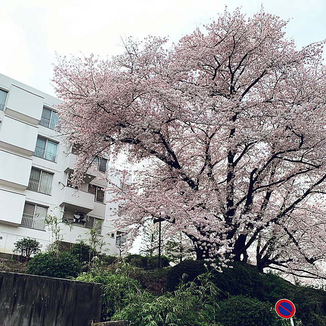 ruhatomoyaさんの実例写真