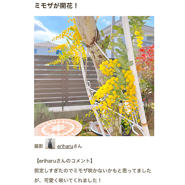 eriharuさんの実例写真