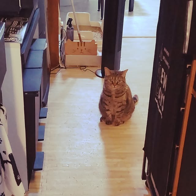 runaさんの部屋