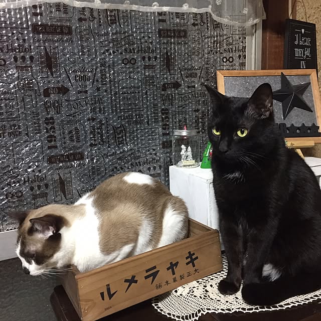 vivienne.coco-keiさんの実例写真