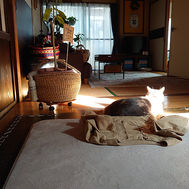 fukuさんの実例写真