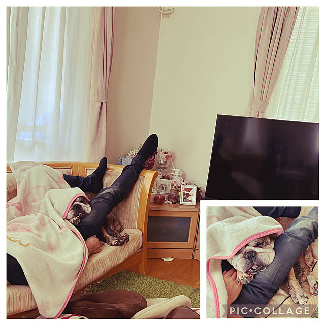 chi_gogaさんの実例写真