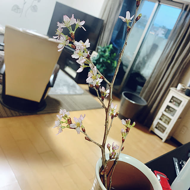 moonさんの部屋