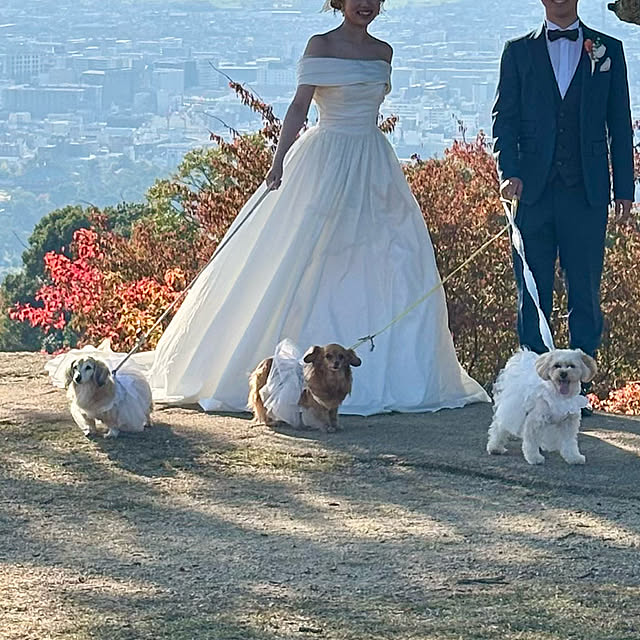 chachamamaさんの実例写真