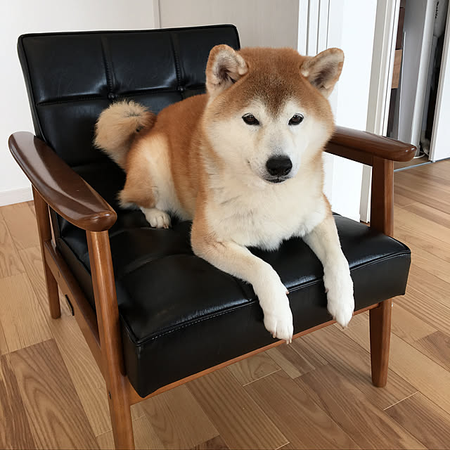 kokoranranさんの実例写真