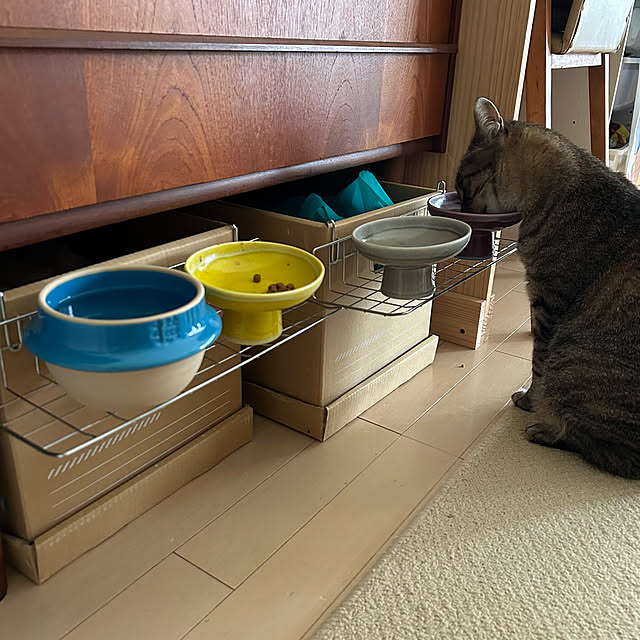 mikomaruさんの部屋
