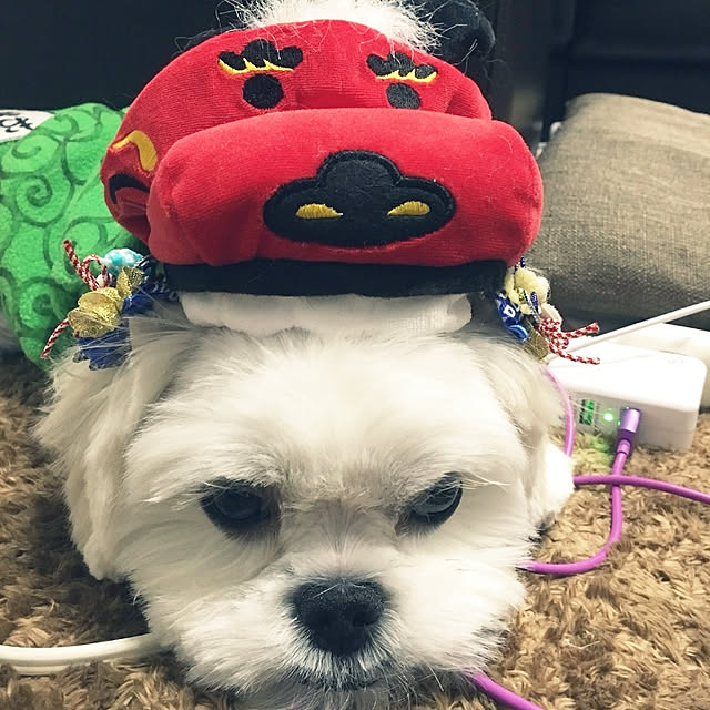 nigomilさんの実例写真