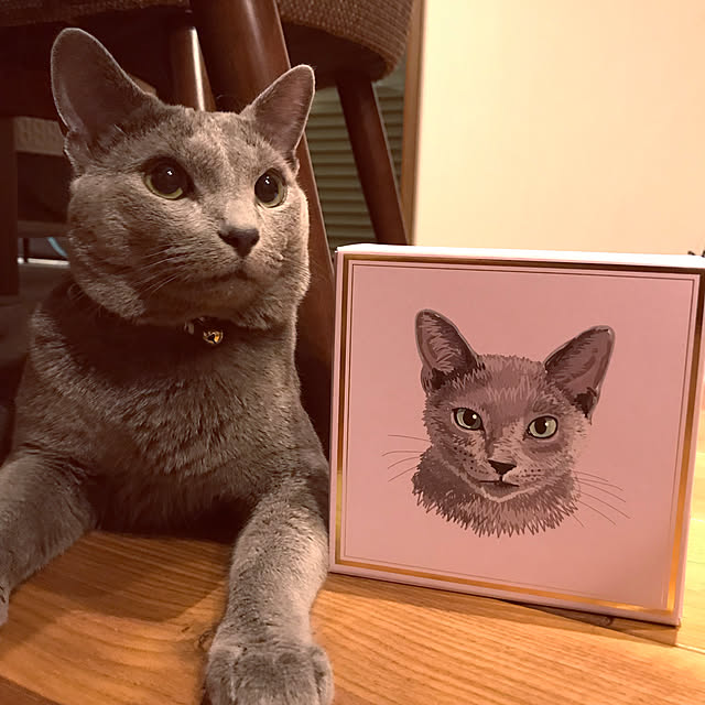 実例写真