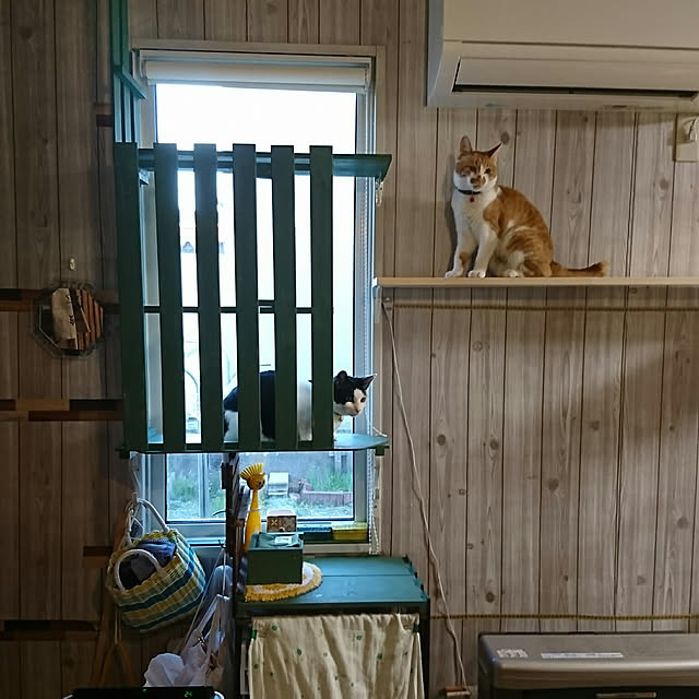 SHIHOさんの実例写真
