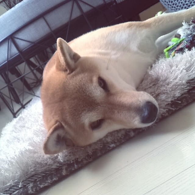 kさんの実例写真