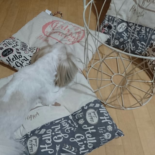 Reiさんの実例写真