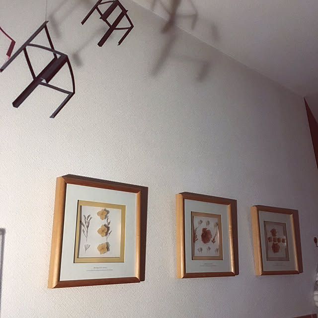 nepenthesさんの実例写真