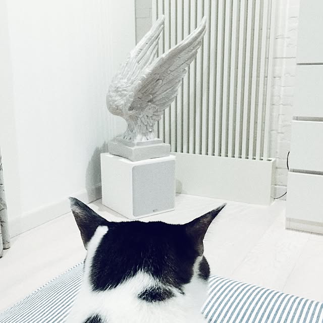 yuchiさんの実例写真