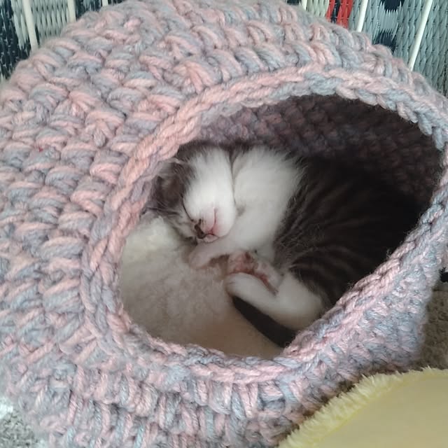 mikisunさんの部屋