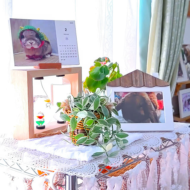 mariaさんの実例写真