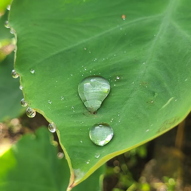 Rubiconさんの実例写真