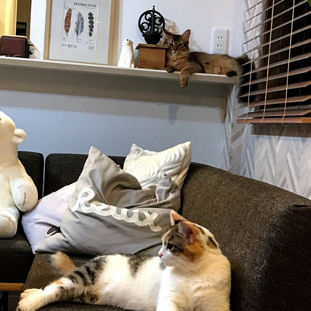 実例写真
