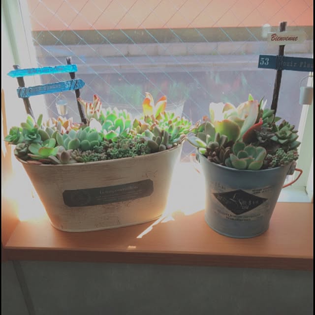 chieさんの実例写真