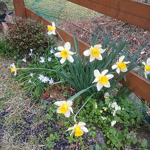 murasaki808さんの部屋