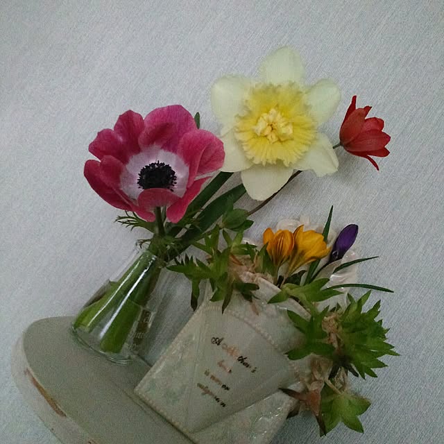 shoko0420さんの実例写真