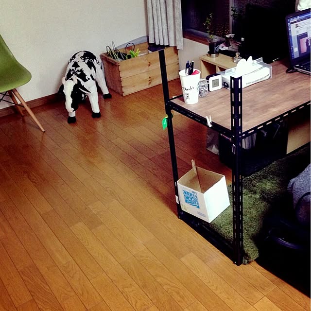 shiroさんの実例写真
