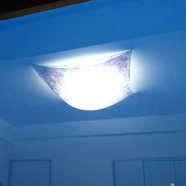 実例写真