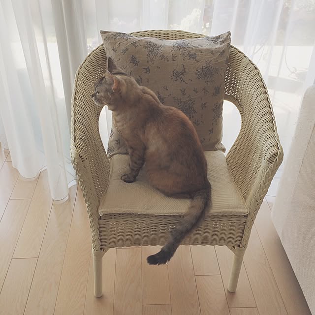 mimiさんの実例写真