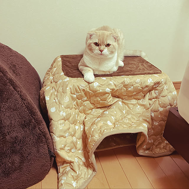 maikoroさんの実例写真