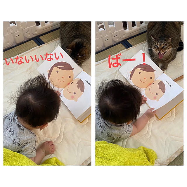 mikomaruさんの実例写真