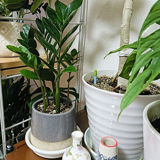 hanachanさんの部屋
