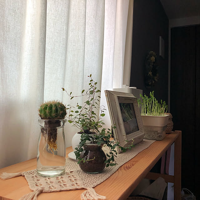 okkoさんの実例写真
