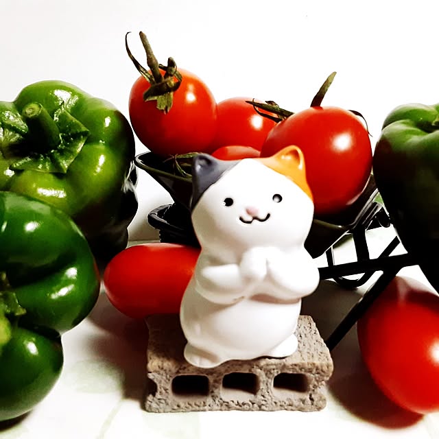 katさんの実例写真
