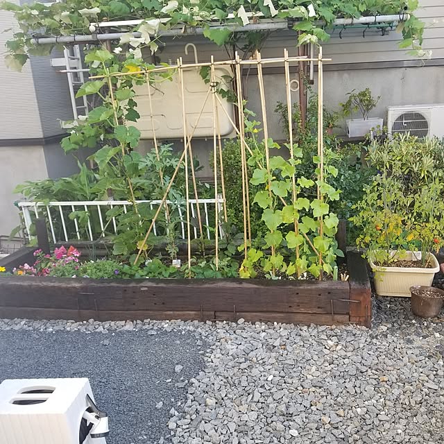 ELさんの実例写真