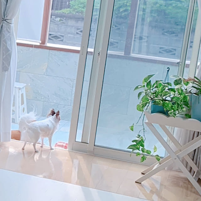 makoさんの実例写真
