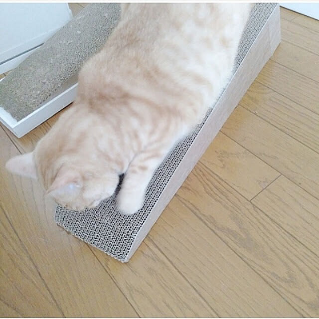 heart.emiemi57.whiteさんの実例写真