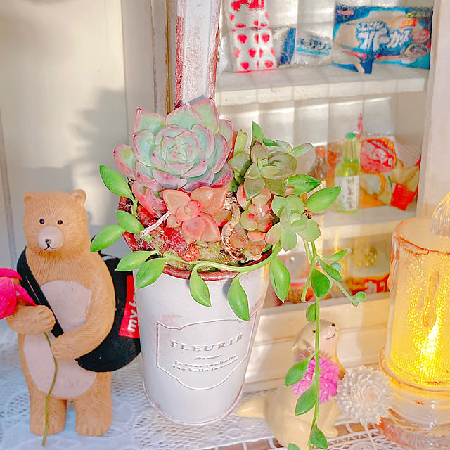 Hanakaさんの部屋