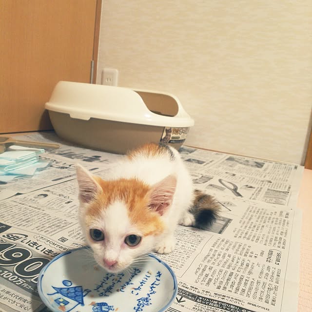 takahiroさんの実例写真