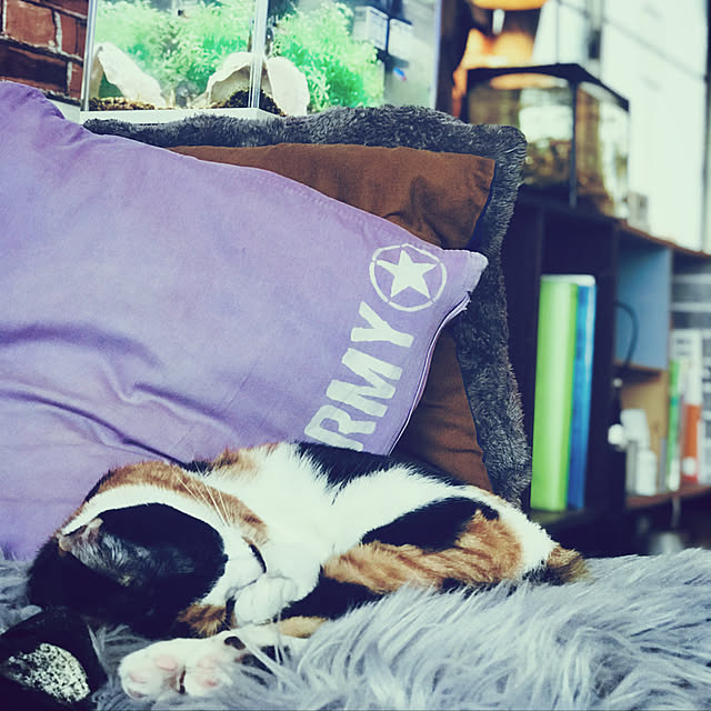 maroさんの実例写真