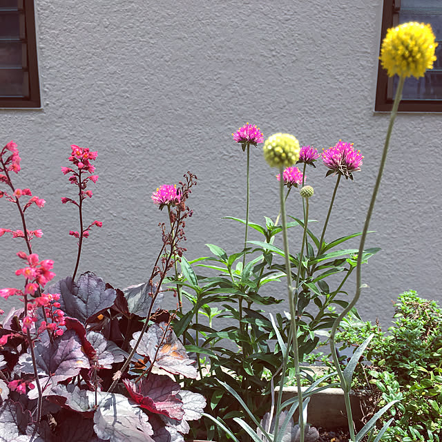 mimichankさんの実例写真
