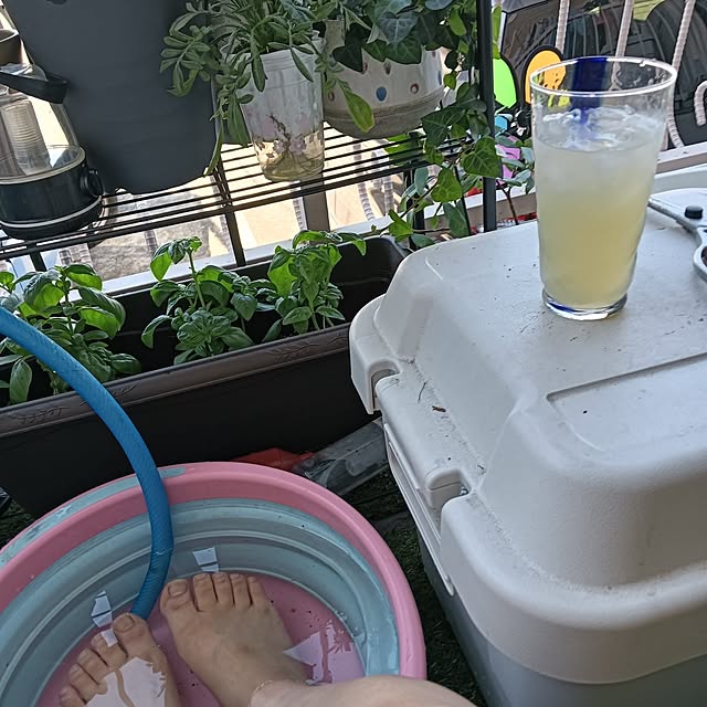 suzuneeさんの実例写真
