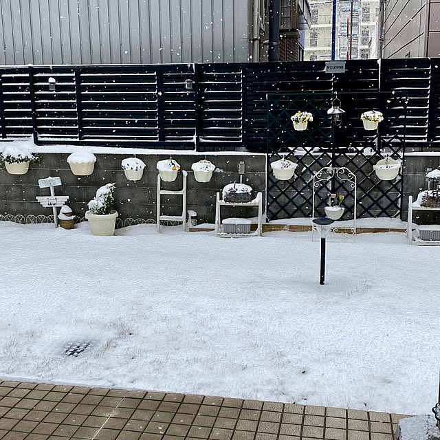 YuuKoさんの実例写真